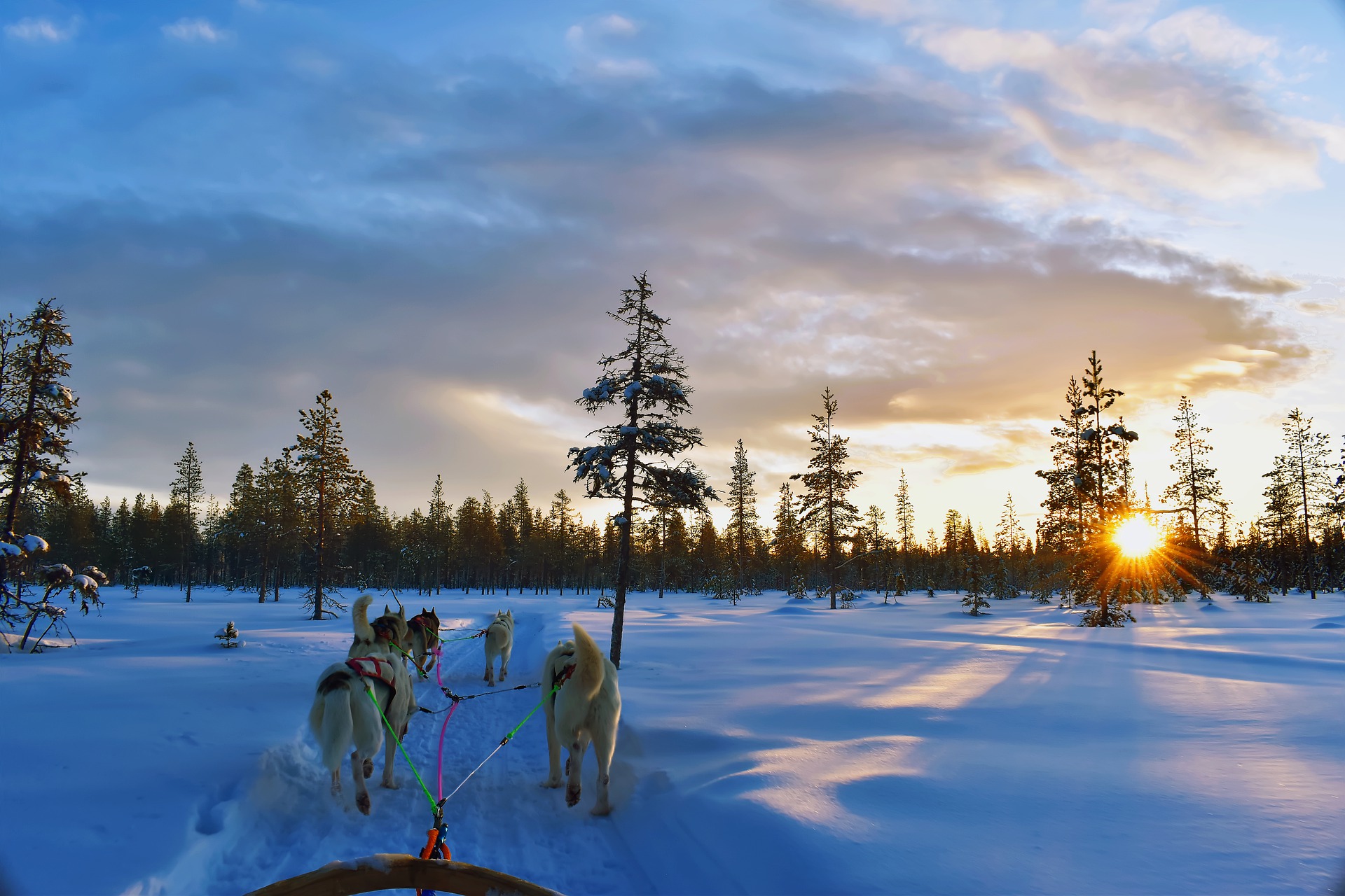 Upplev en Northern Lights Tour i Lappland